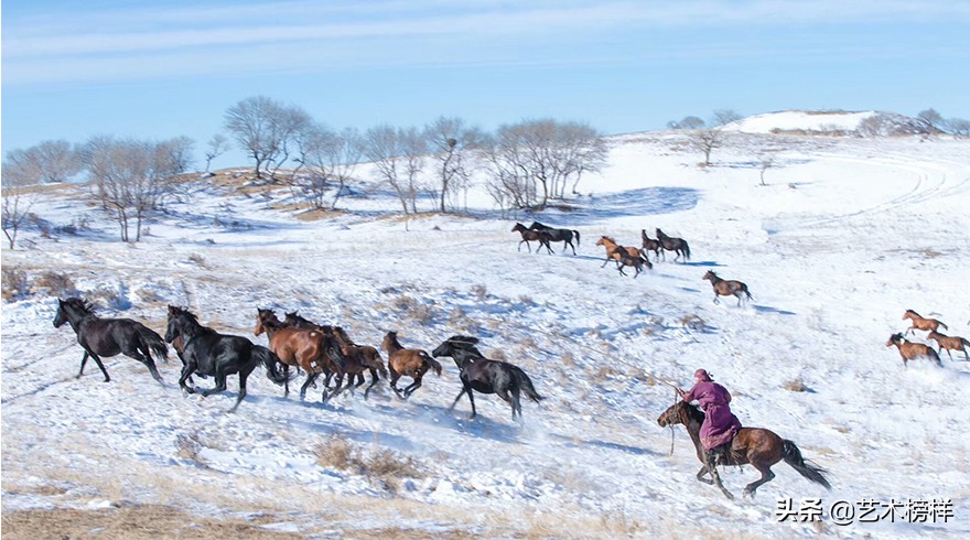 摄影家张明友：把“蒙古马精神”传播到全世界