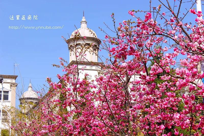 民办云师大商学院,云师大商学院的全称是