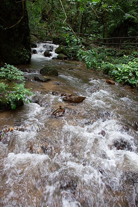 溪水潺潺心旷神怡,美景溪水潺潺