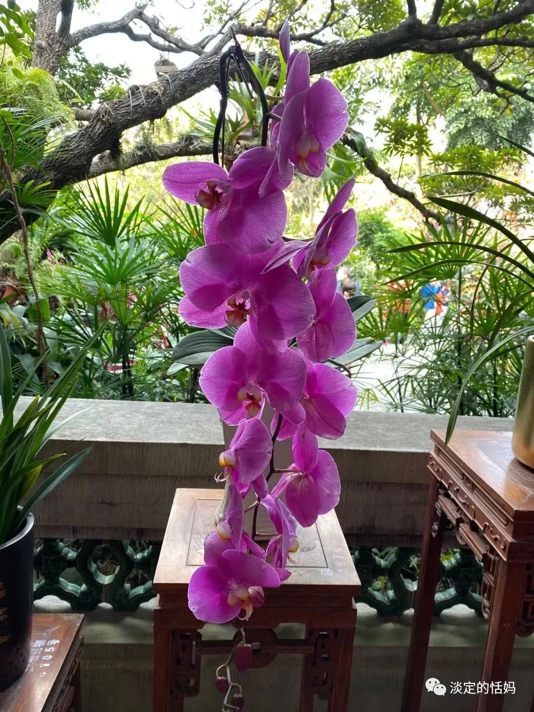 一边修脚一边讲故事,开口学古诗