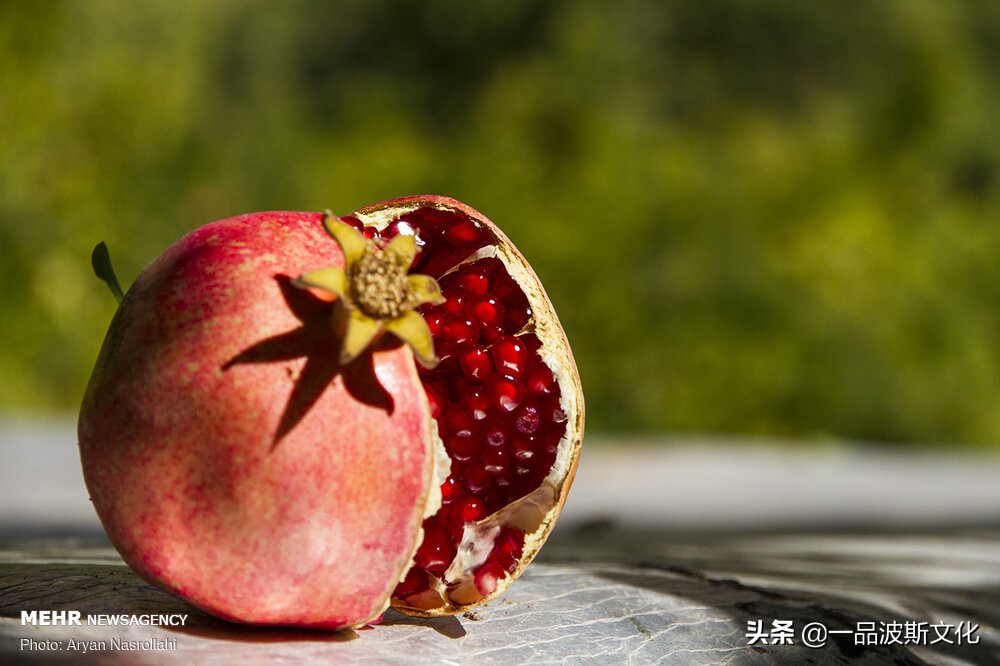 伊朗波斯石榴在哪里,伊朗石榴与波斯石榴