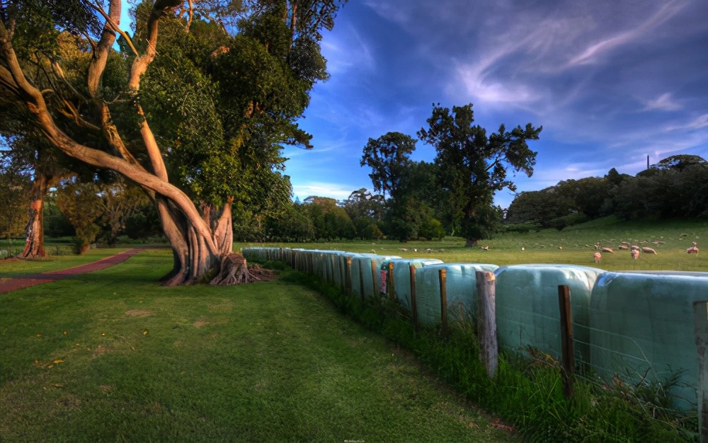 学3d建模有出路吗,3d建模最吃香的方面