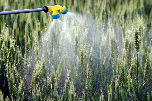 磷酸二氢钾为什么价格相差好大,磷酸二氢钾的价格为什么相差很大