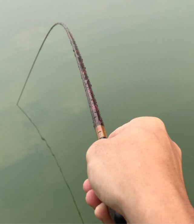 日本很贵的鱼竿,日本最贵鱼竿多少钱一条