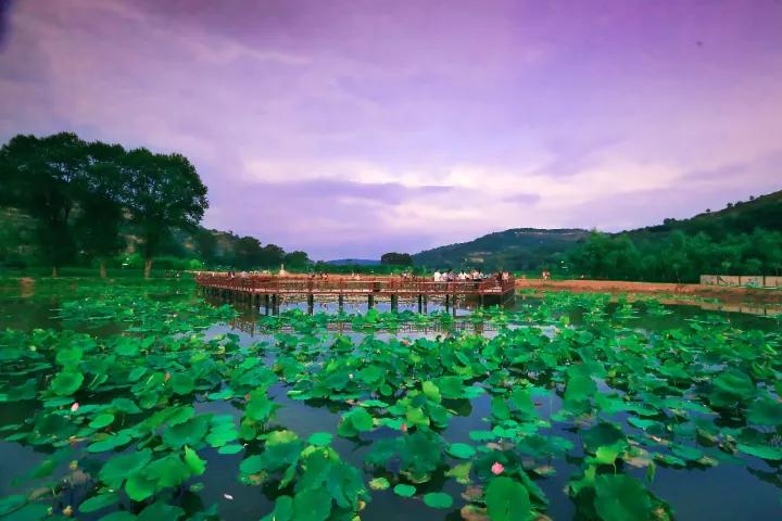 赞美庆阳的美景,庆阳的美