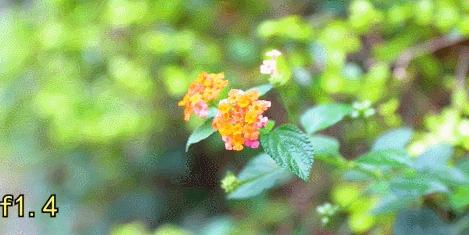 滤镜功能效果一览表,滤镜超强锐化