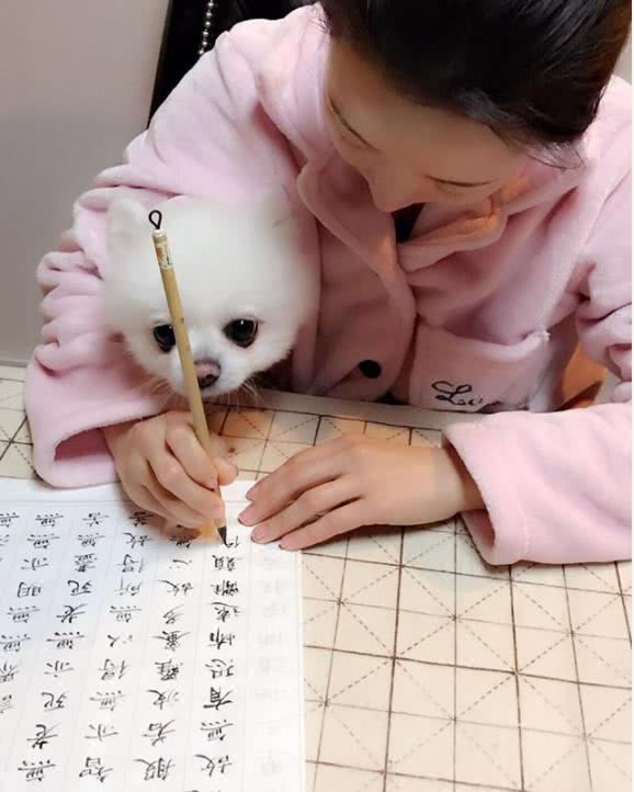 潘晓婷15米超长台球桌,星牌潘晓婷俱乐部款台球桌