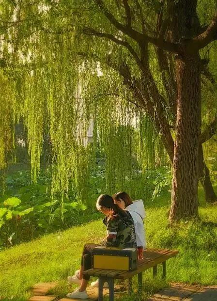 苏州托普职业技术学院招收分数线,苏州托普信息职业学院单招