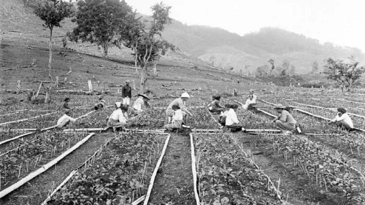 日本脚气病是什么病,世界最严重脚气病