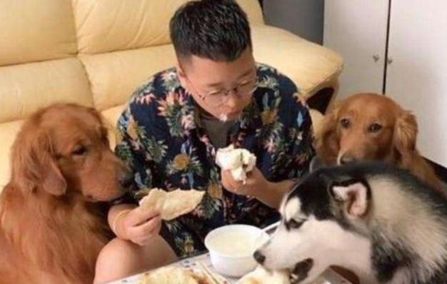 养狗的都懂得养狗秘籍,养狗的七大好处