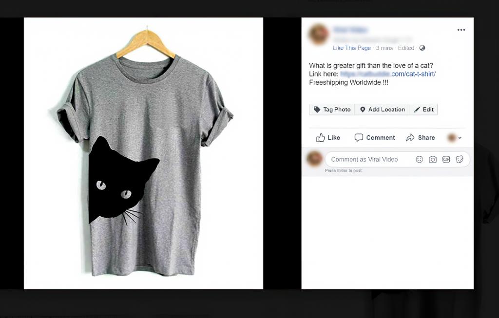 在Covid-19大流行期间,玛丽如何通过Dropshipping卖货126927美元