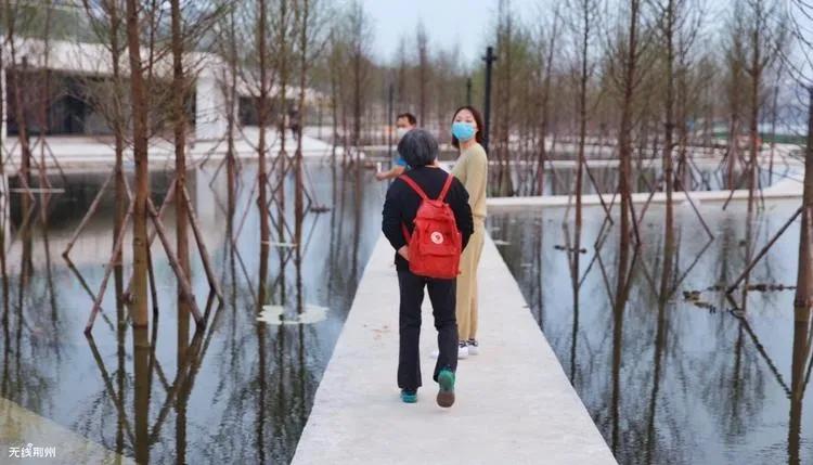 春暖花开荆州,荆州古城春暖花开视频
