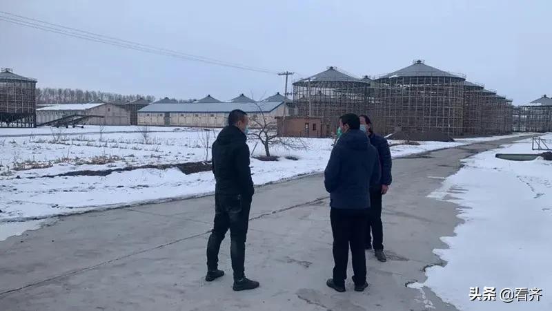 线上安全屛对屏线下督导工不停——依安县严把好企业复产复工关