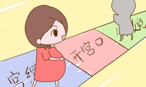 开十指到底是什么,开十指就是十个指头