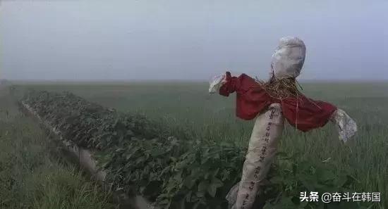 轰动韩国的杀人碎尸案,轰动韩国的案件完整版