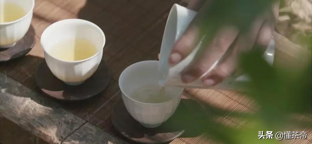 老白茶入口发酸是怎么回事,白茶发酸是什么茶