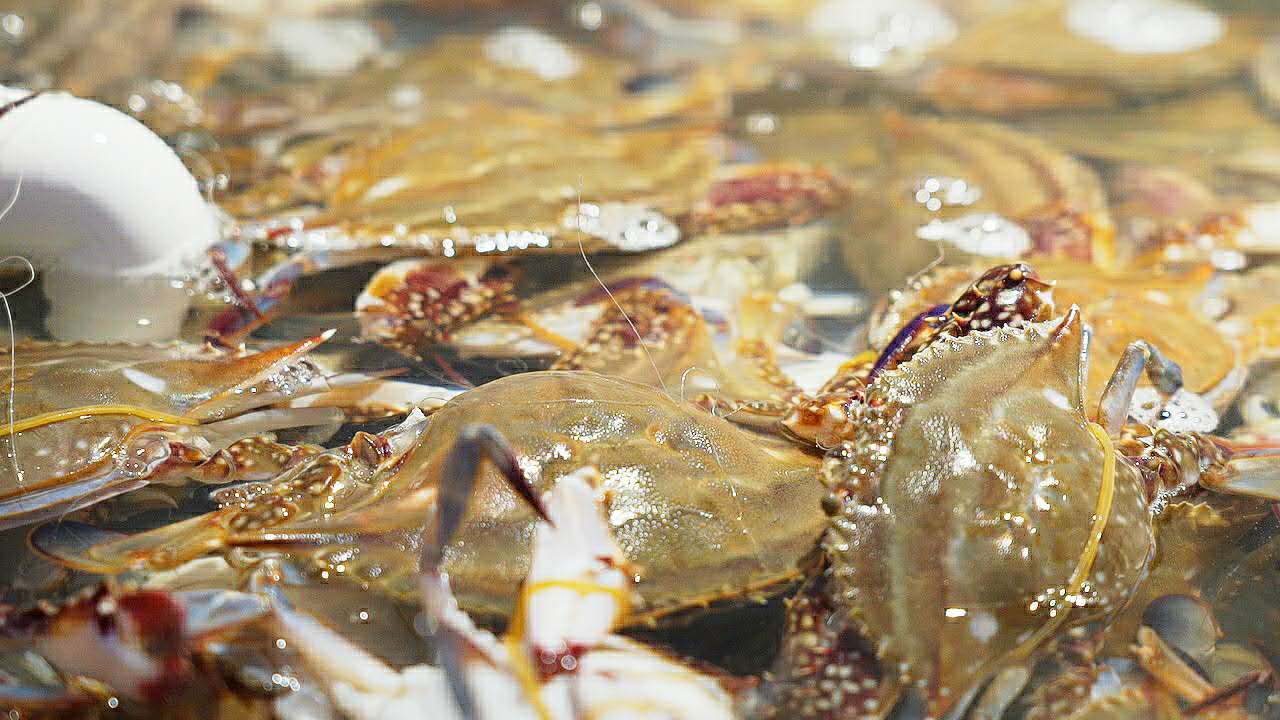 上海海鲜自助餐799一个人,148元海鲜自助餐