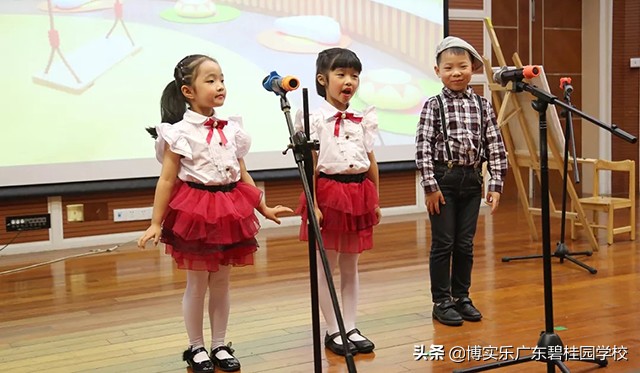 第九届碧桂园杯,第十二届碧桂园杯