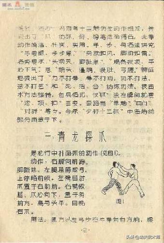 失传已久的古少林迷踪拳秘籍,少林十三抓拳谱