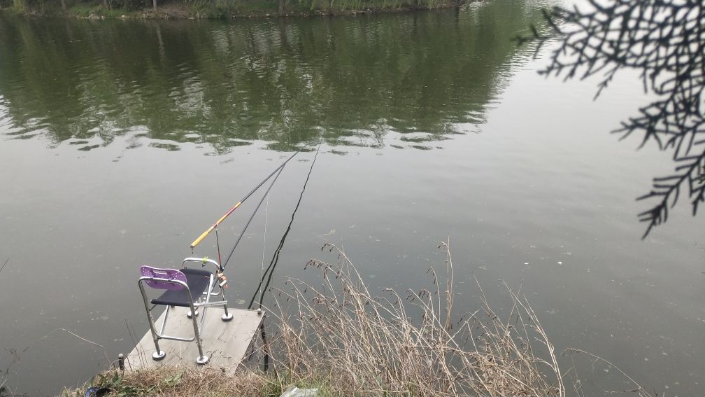 钓翘嘴和草鱼的正确方法与技巧,玉米粒夜钓鲤鱼草鱼方法及技巧