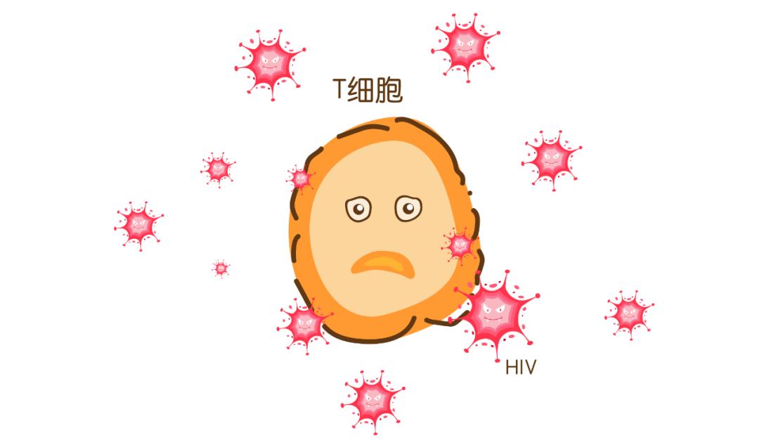 联合国艾滋病规划署:艾滋病病毒疫苗是否遥遥无期?