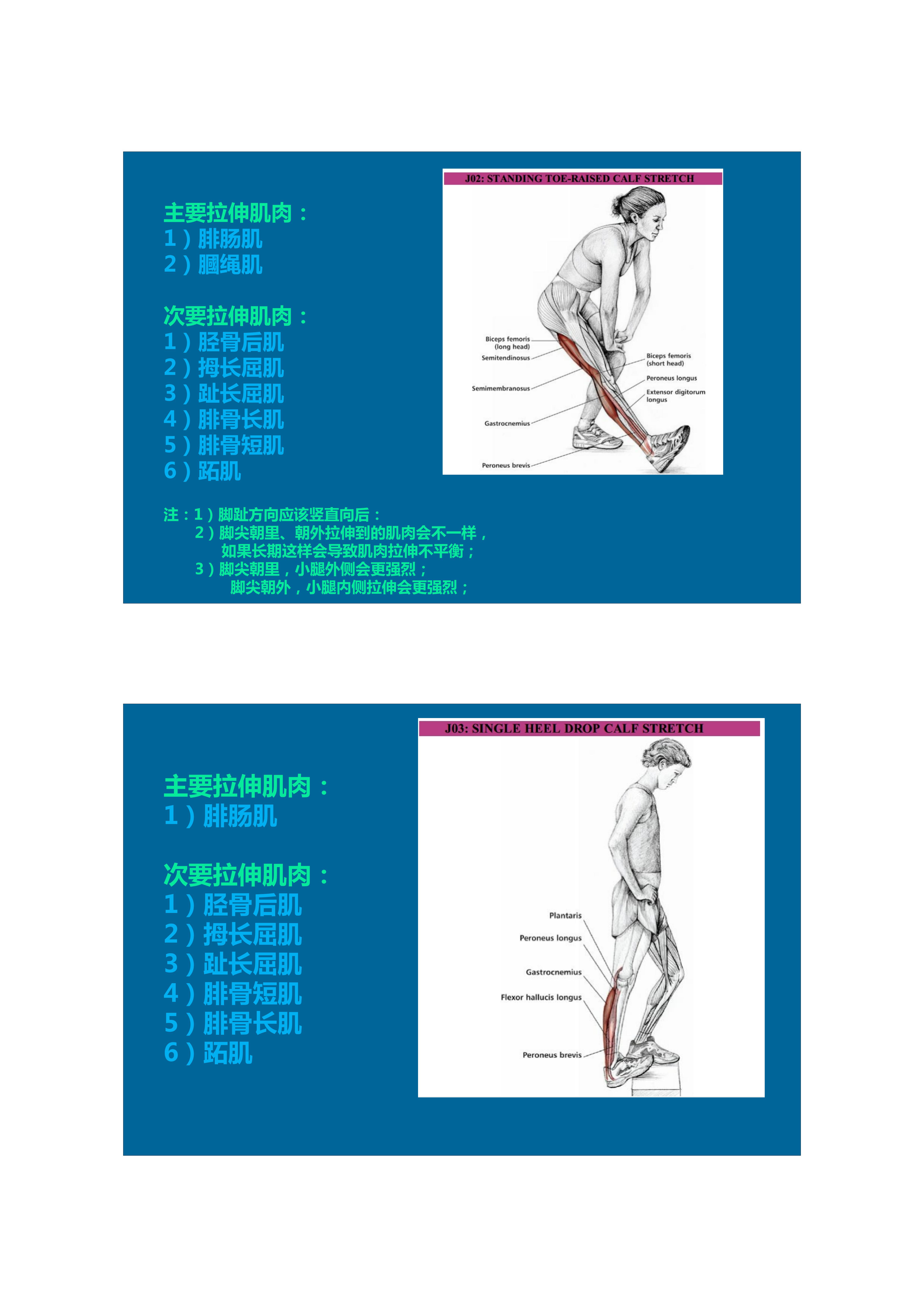 1分钟拉伸动作视频,拉伸腿部技巧