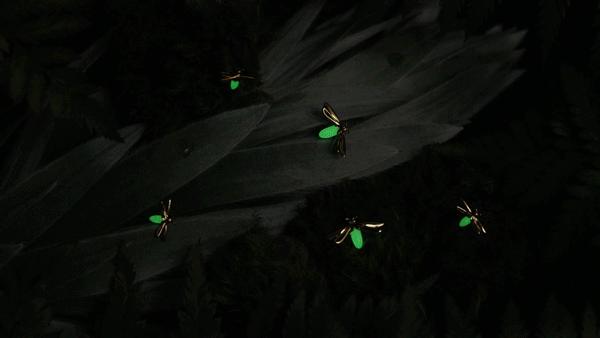 国货可以做到哪些品质,国货中的经典好物