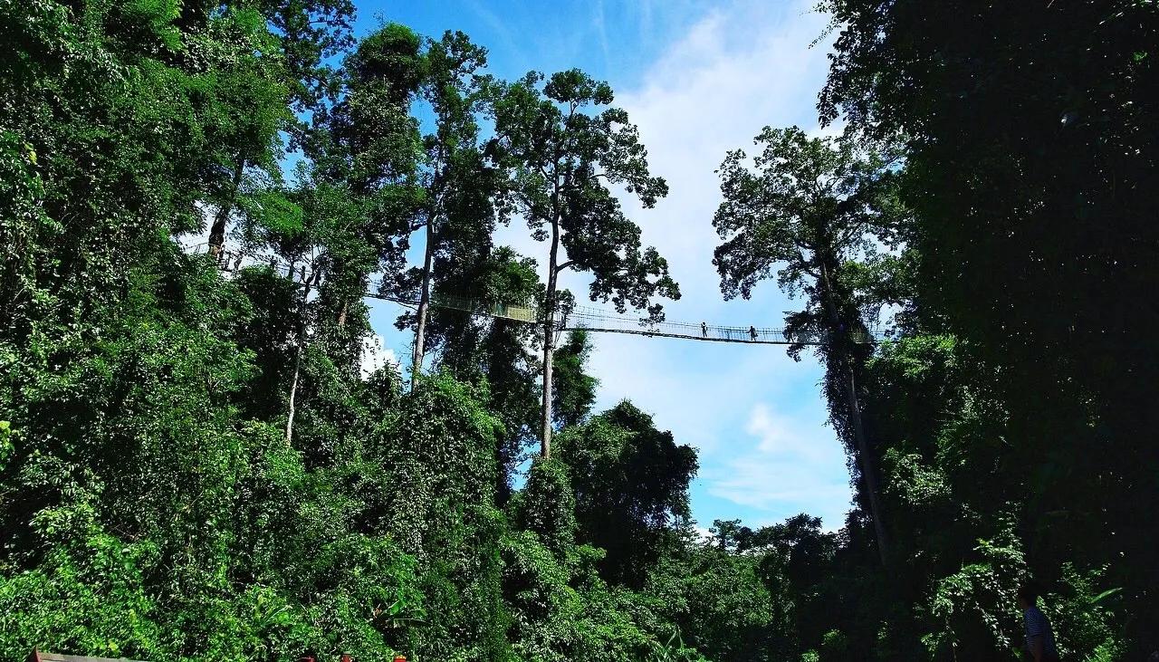 每个人心中都有一个西双版纳,西双版纳最吸引你的是什么