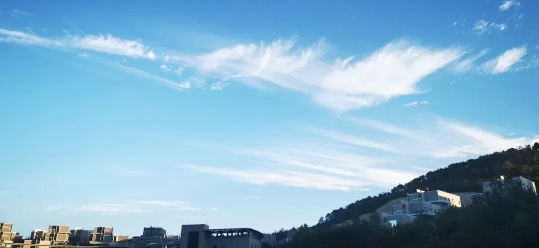 辽宁省民办大学（二）大连东软信息学院