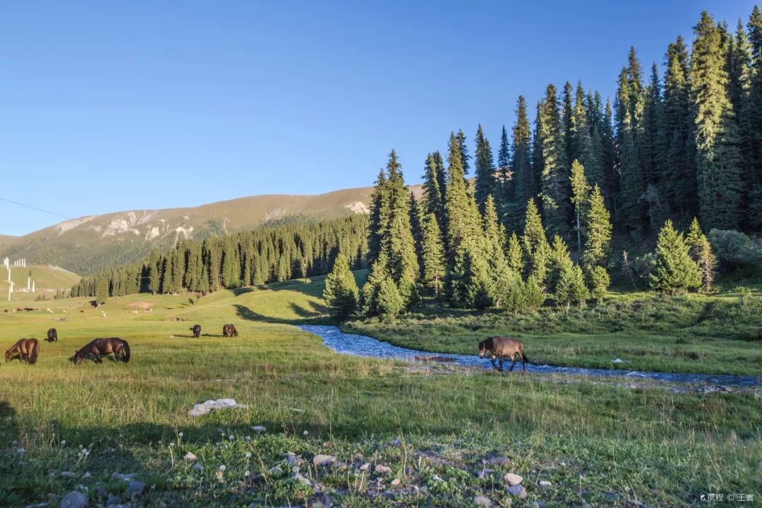 中国10条最美逆天的公路,一年仅开放四个月的独库公路