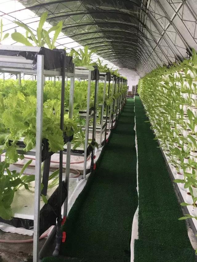 阳光板的特点和弊端有哪些,多层阳光板施工