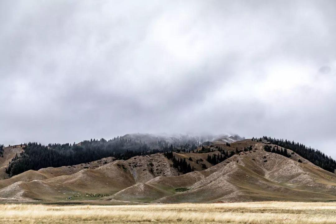 *疆新**之大700公里走不完猜猜全新一代昂科拉去了哪