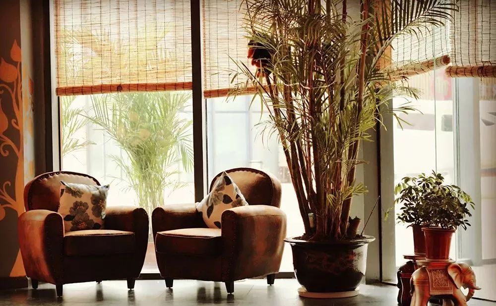 泰国专业的泰式按摩,不用出国的泰式spa