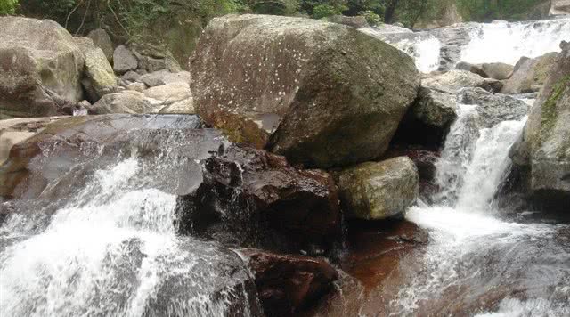 广东省内森林旅游景点,广东森林公园排行榜