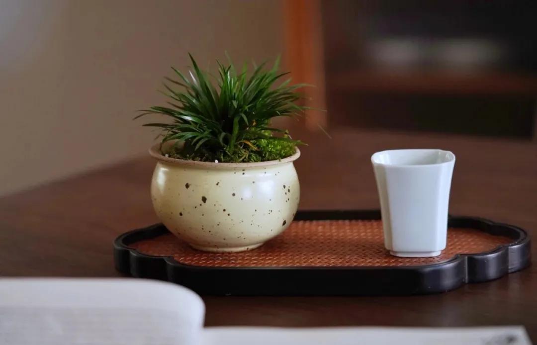 惊蛰适合喝什么茶,惊蛰季节多喝什么茶叶最好