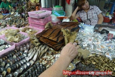 泰国佛牌是什么宗教的,泰国佛牌价格一般多少钱