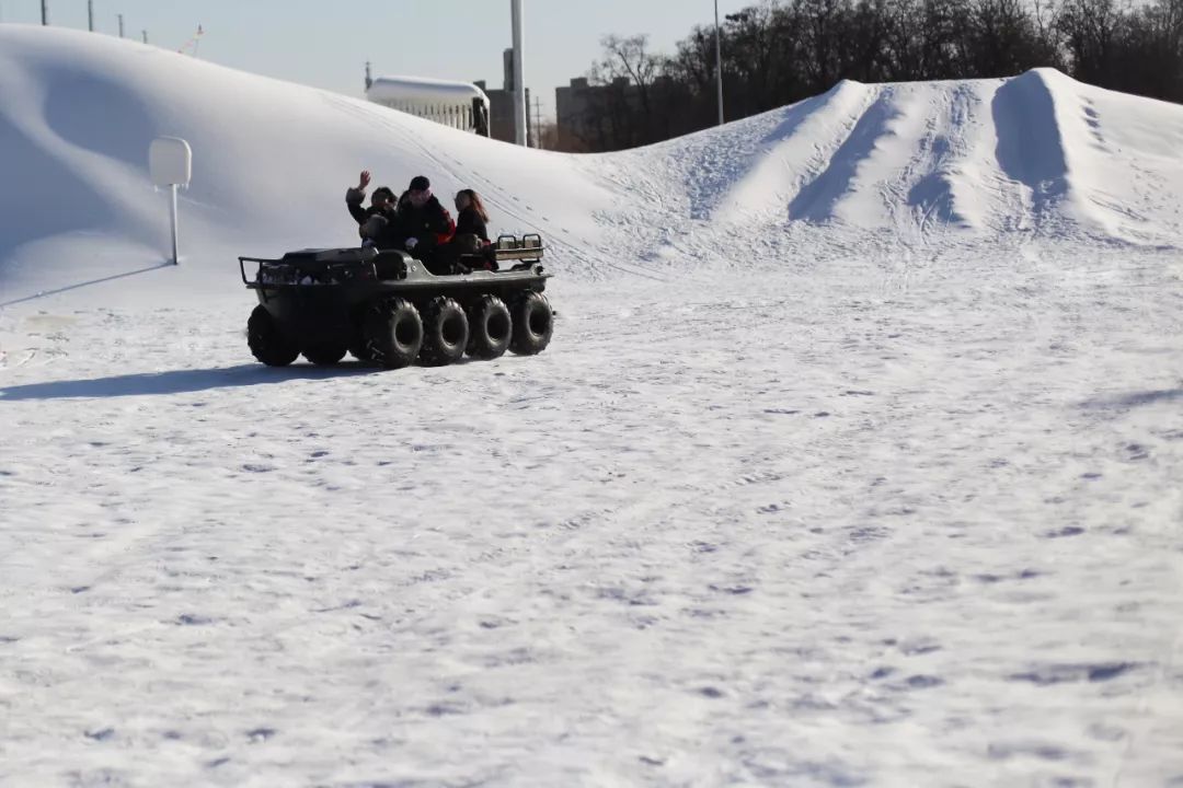 机票不到800元，第2次东北沈阳之旅，1个鸡架配老雪！