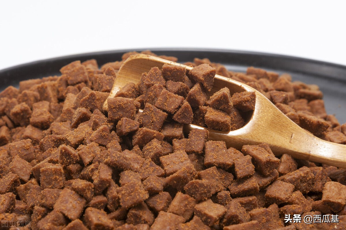 宠物喂食器定时定量,宠物有必要用自动喂食器吗