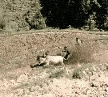 “你太低估了我的脚气，不知道还有没有救？”年轻总要付出代价