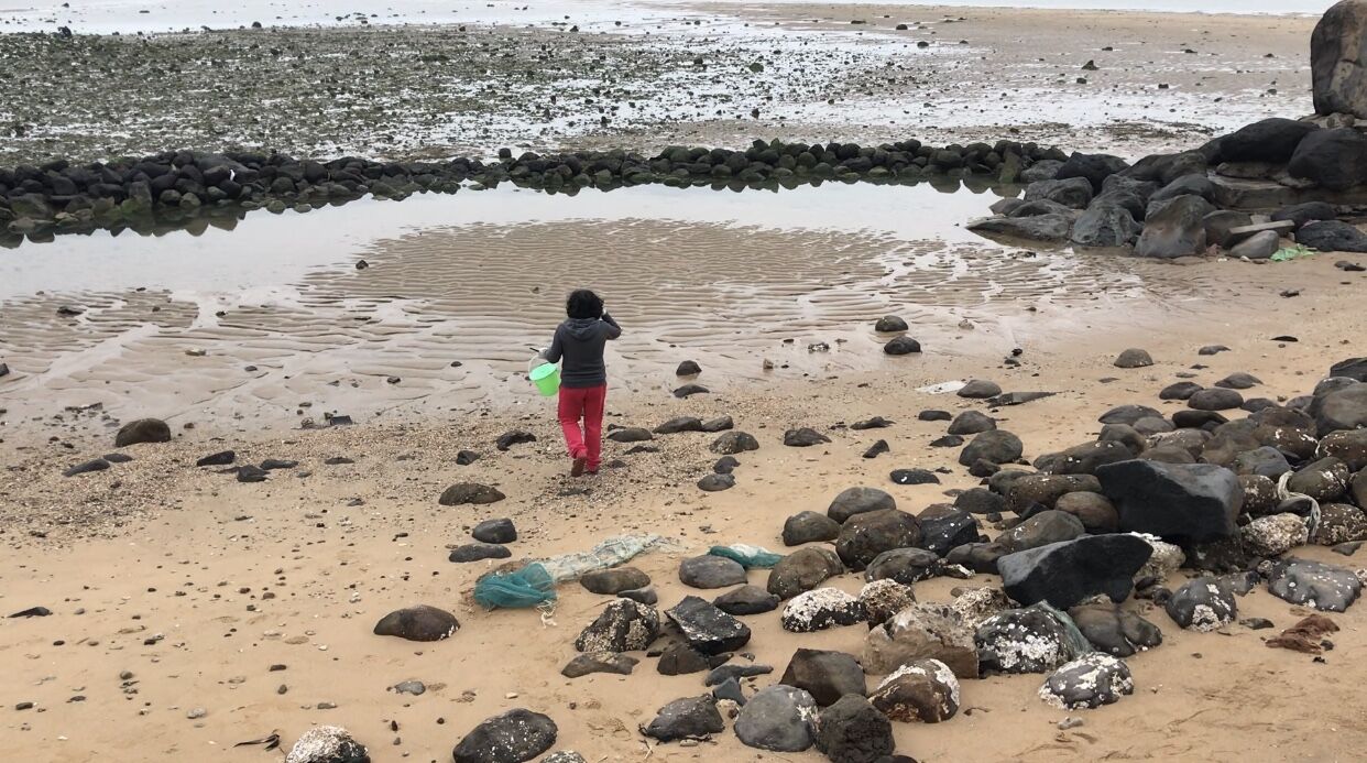 再说房车人是咋算账的；1212房车旅行车的事很担心；赶海