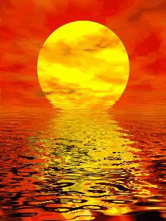 神秘的水中花,趣味神奇的水中花