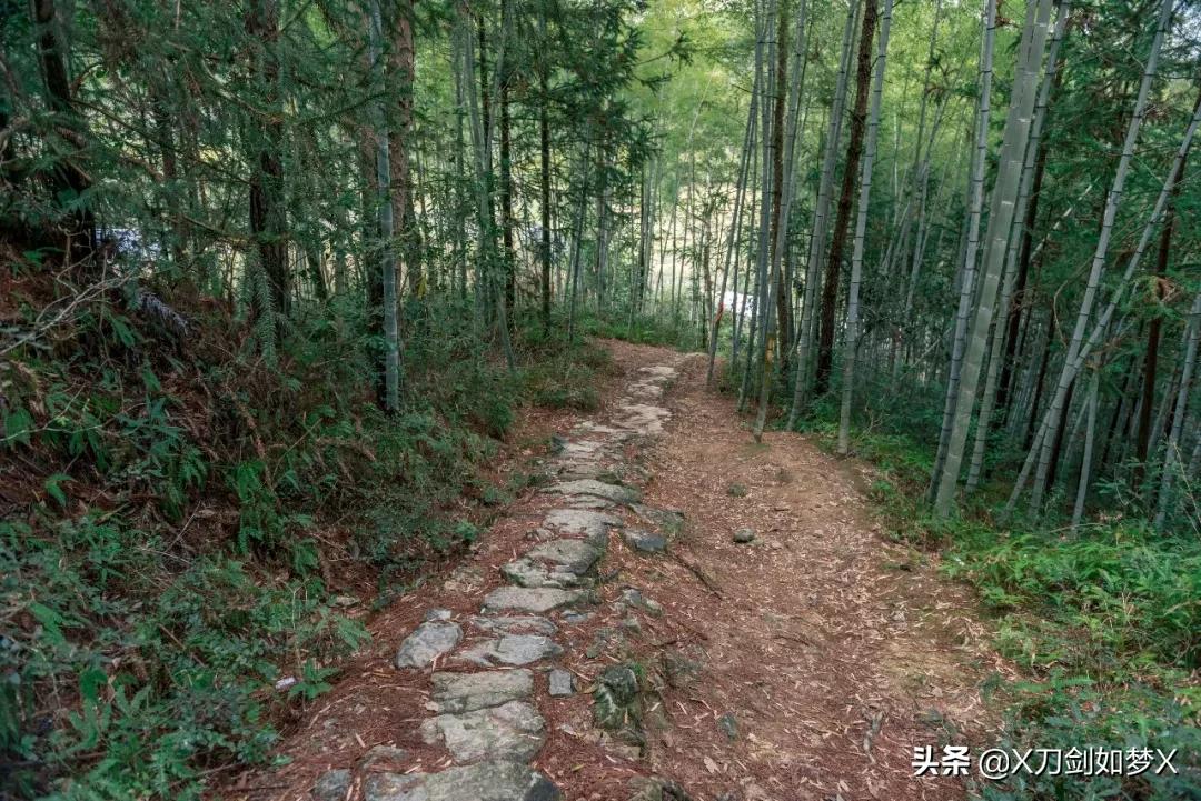 沪外游集：“华东香格里拉”-公盂村春季徒步