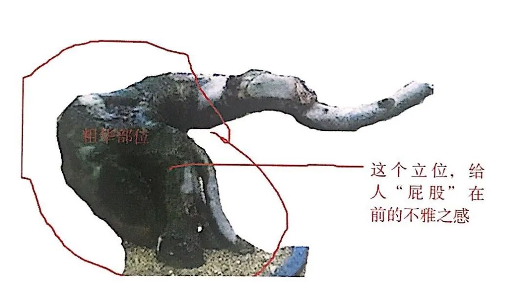 榆树盆景用的榆树是什么品种,小榆树盆景设计100种形态