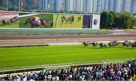 香港赛马持续百年，缘何经久不衰？