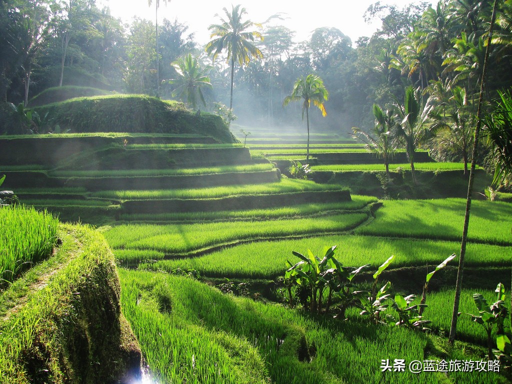 一个人去巴厘岛，应该玩什么？住哪里呢？
