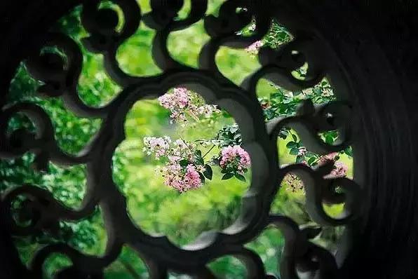 杨绛人与人之间最好的相处模式,杨绛听别人说话