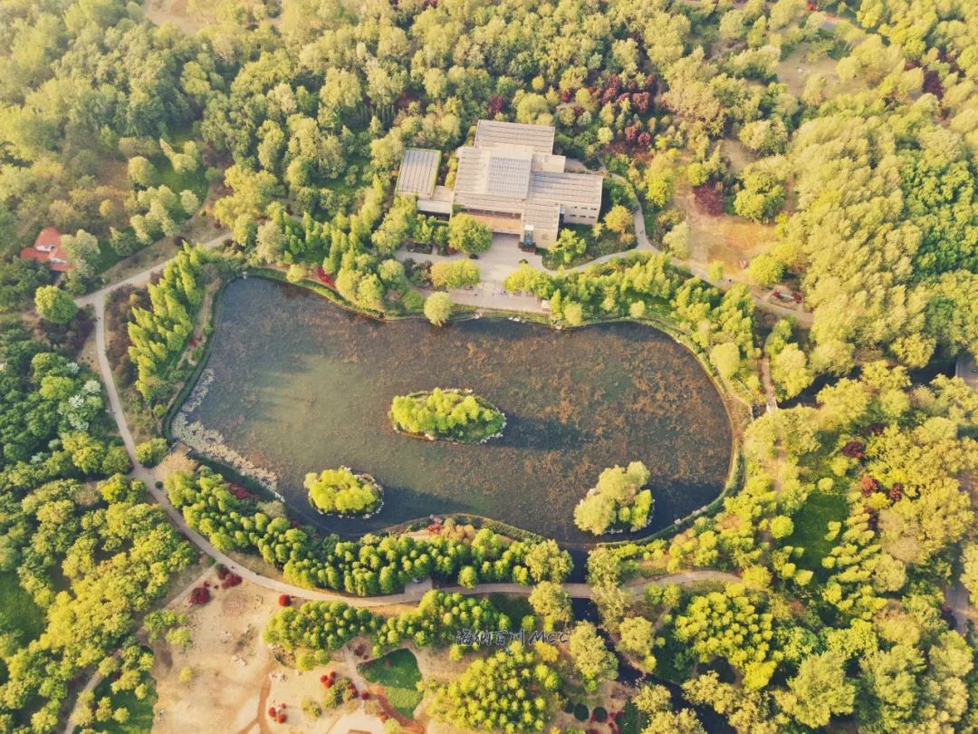 去济南的旅游景点推荐一下,济南五一必去十大网红景点