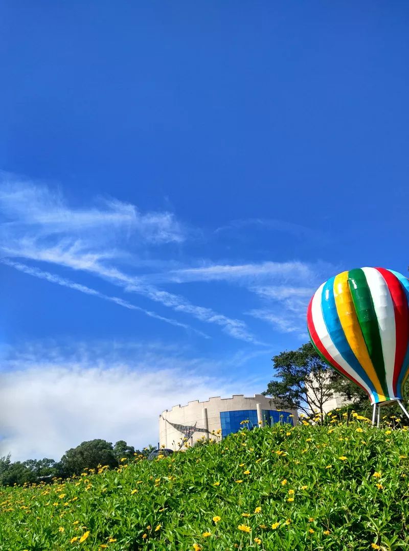 鐏北宀涙毚椋庨洦瑙嗛,鐏北宀涙毚椋庨洦