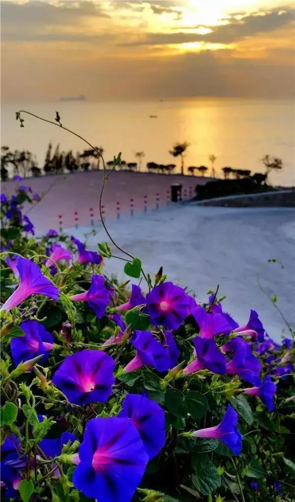 中国边境线自驾游g228与g331,环中国自驾游g228沿海公路