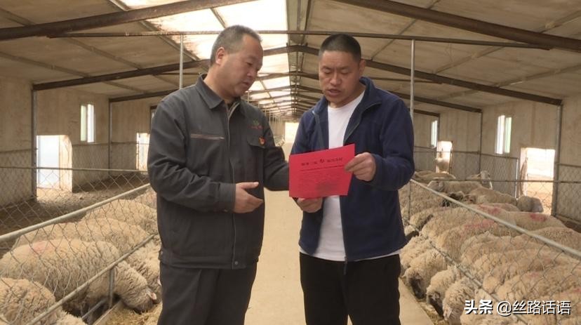 人勤春来早农机视频,人勤春来早薯农育苗忙